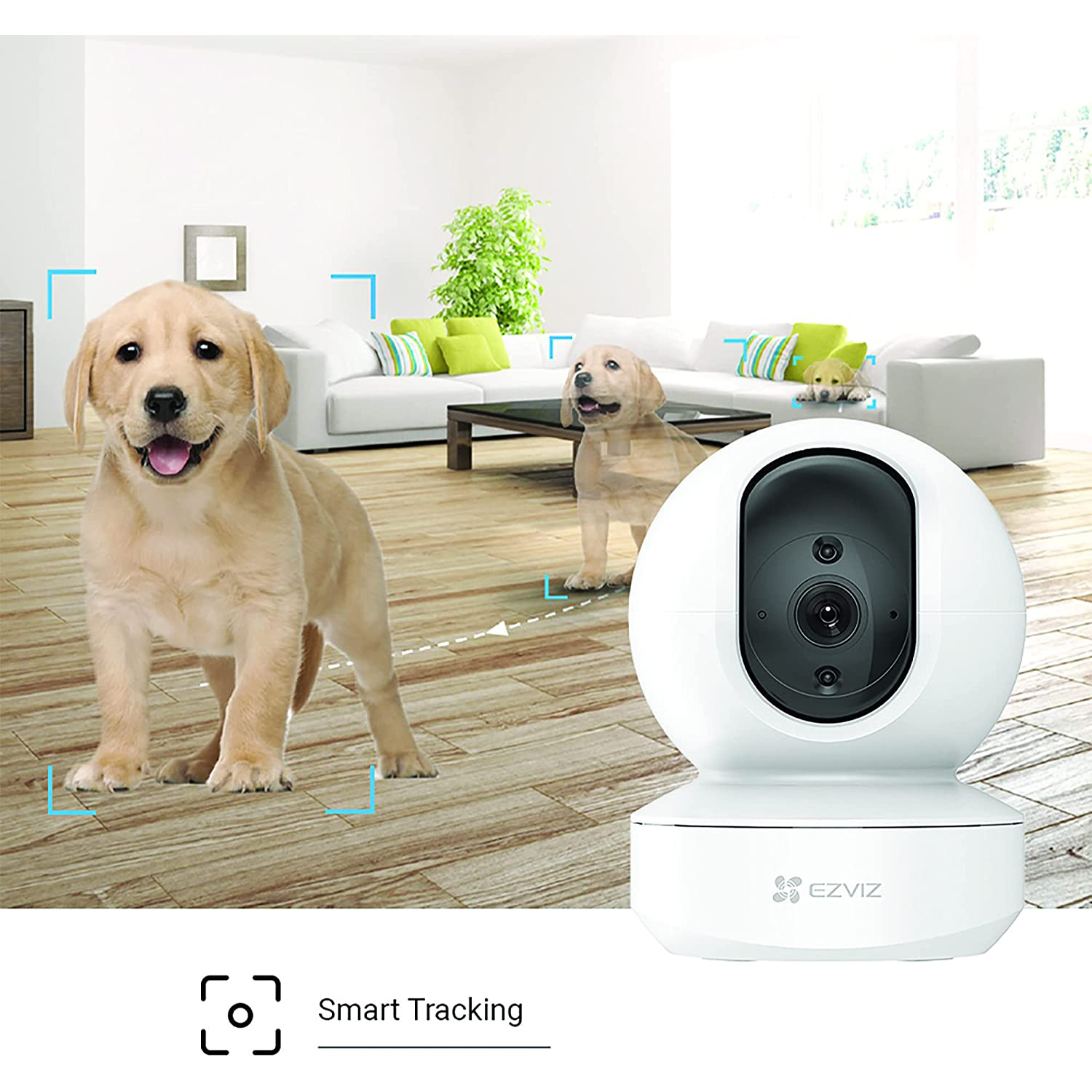Una telecamera di sicurezza bianca con due cuccioli e un prato verde sullo sfondo.