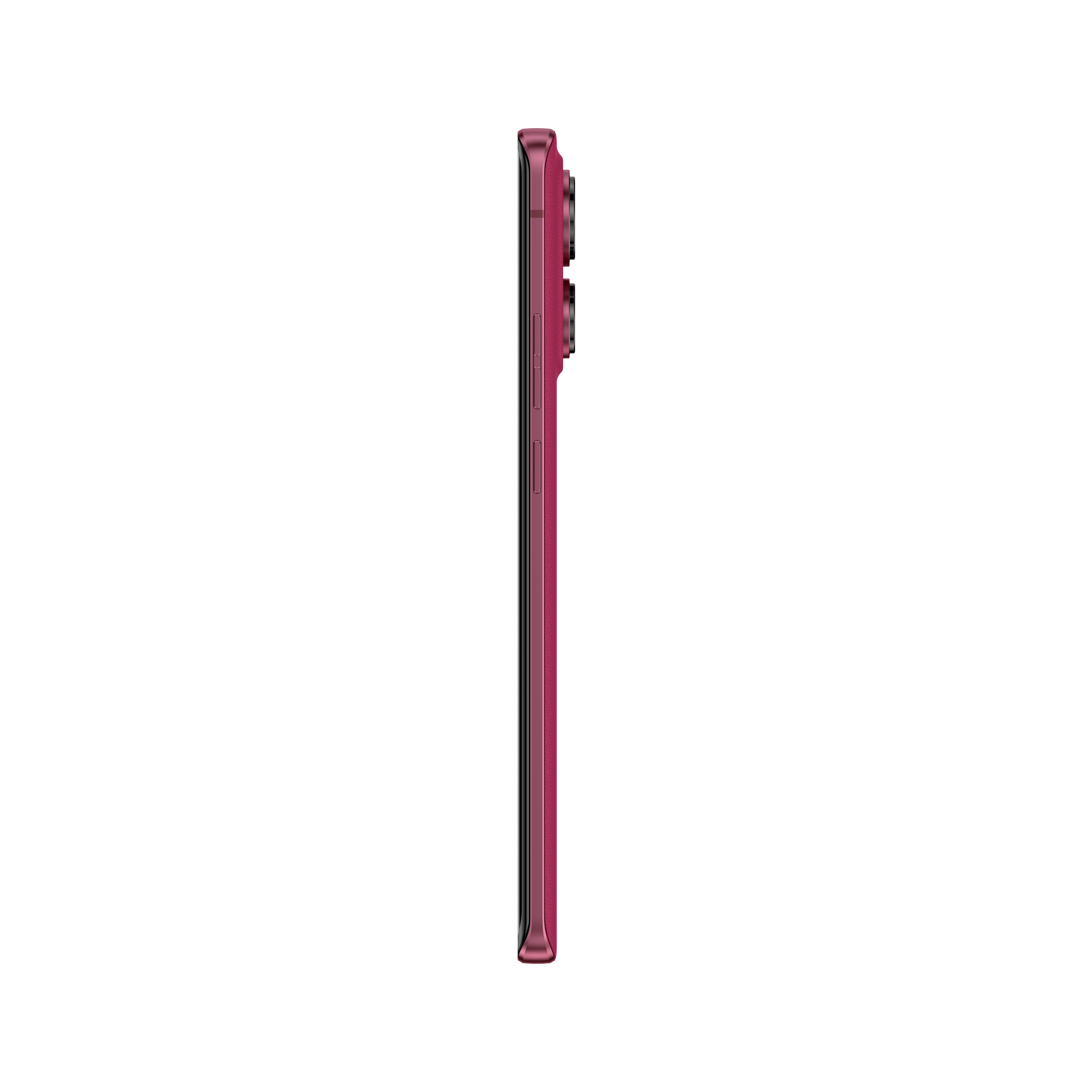 Seitenansicht eines magenta Smartphones mit mehreren Kameralinsen.