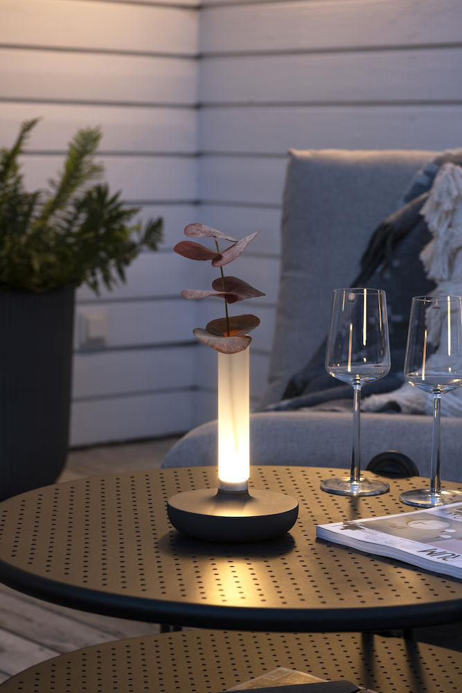 Schwarze Tischlampe mit klarem Rohr und Blättern. Weingläser und Buch auf Tisch.