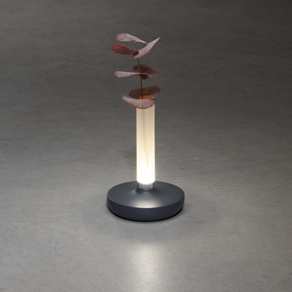 Eine beleuchtete Lampe mit einem Pflanzenstiel.