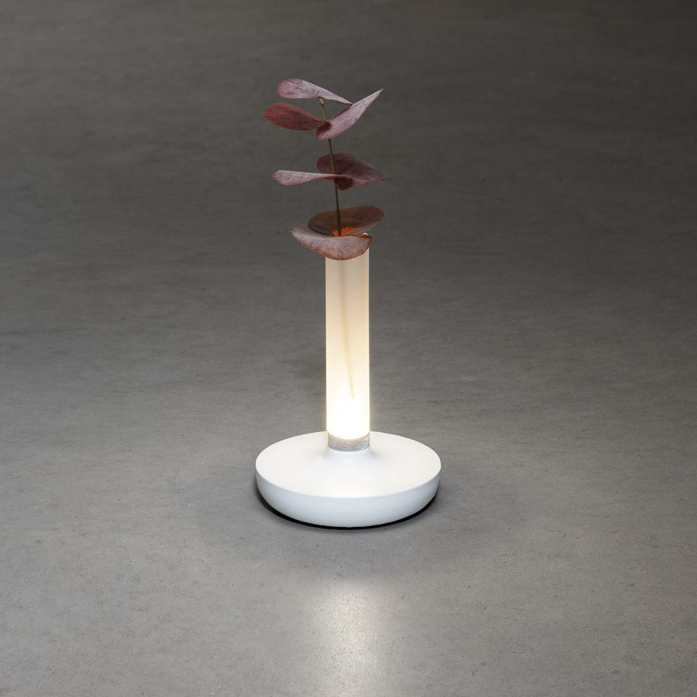 Eine Lampe mit weißem Sockel und einem Zylinder mit Blättern.