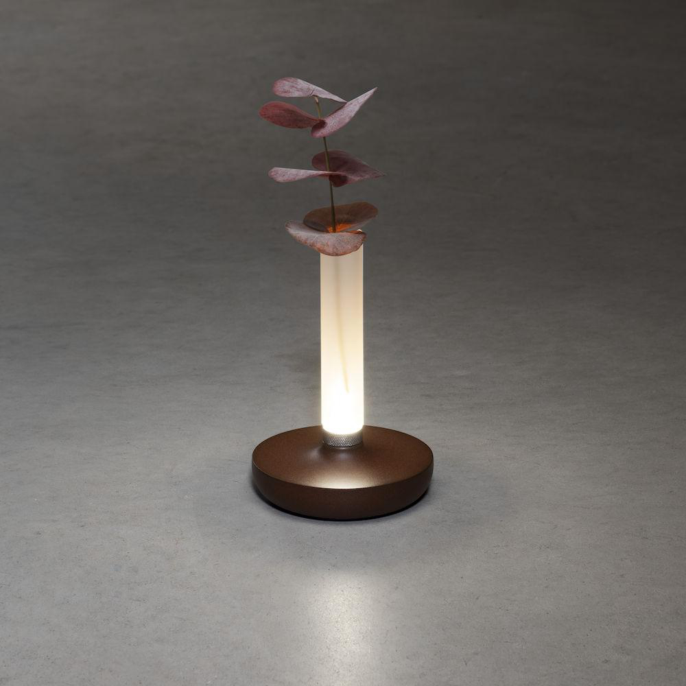 Eine Lampe mit braunem Sockel und weißem, leuchtendem Schaft, gekrönt von roten Blättern.