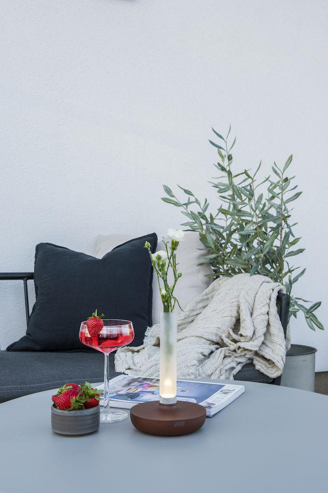 Outdoor-Einstellung: Getränk, Erdbeeren, Blumen, Zeitschrift, Decke und Baum.