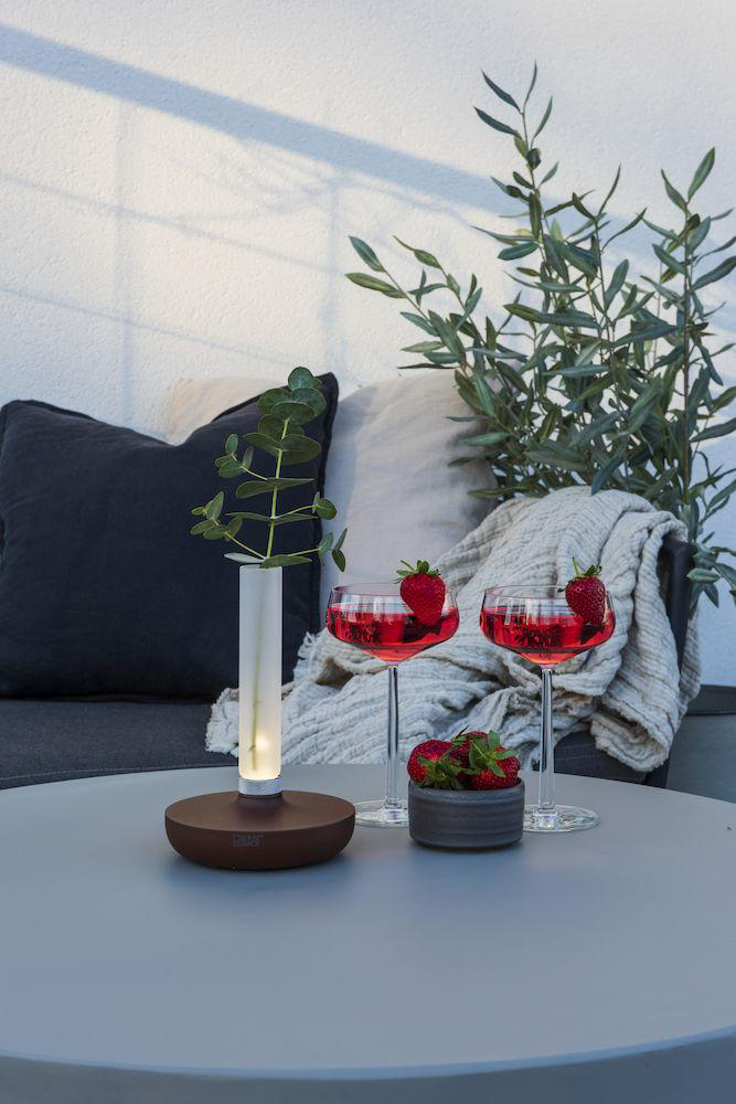 Tisch mit zwei Gläsern rotem Cocktail, einer kleinen Schale Erdbeeren und einer Vase mit grünen Blättern.