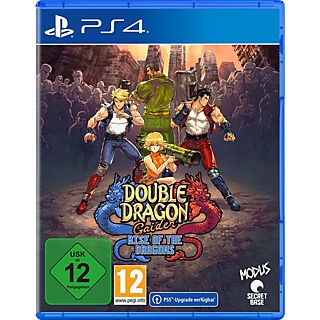 Double Dragon Gaiden: Rise Of The Dragons - PlayStation 4 - Allemand