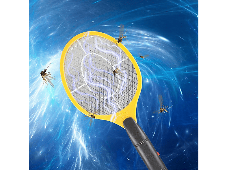 Insecten en andere kleine diertjes