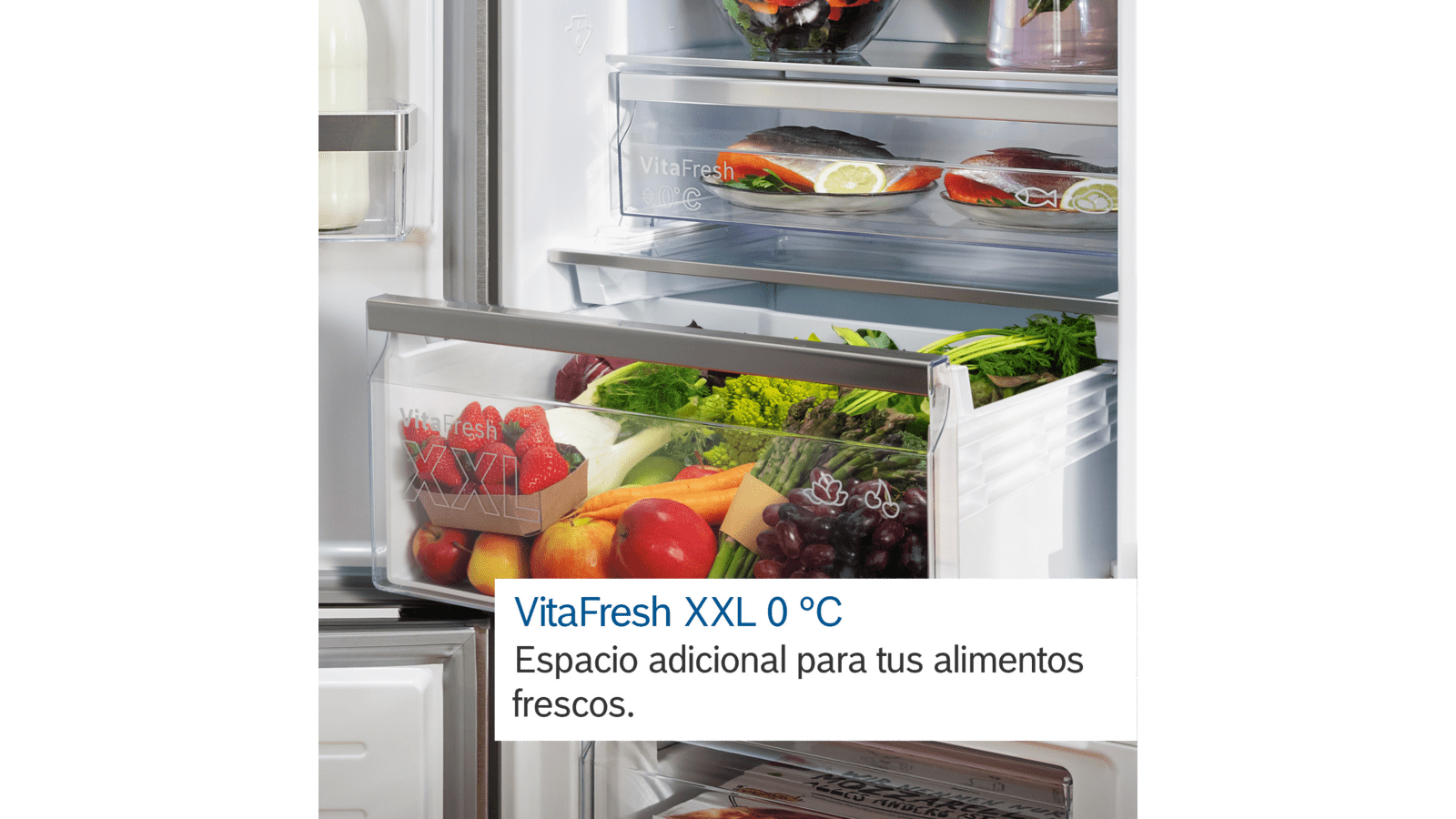 Interior de un refrigerador con productos frescos en cajones. Fresas, zanahorias y lechuga son visibles.