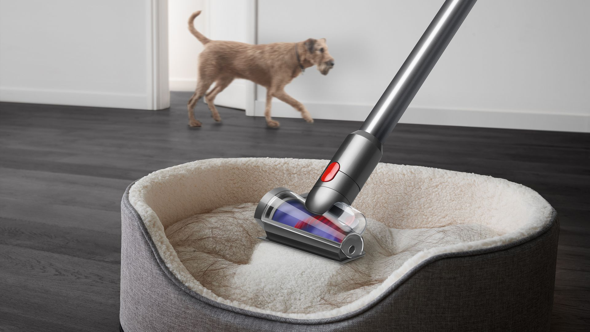 Bir elektrikli süpürge başlığı bir evcil hayvan yatağına yerleştirilir. Arka planda bir köpek var.