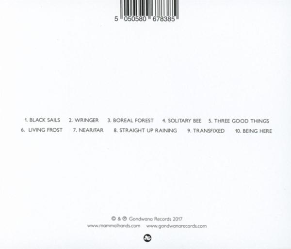 Hammal Hands - Shadow Work  - (Vinyl)