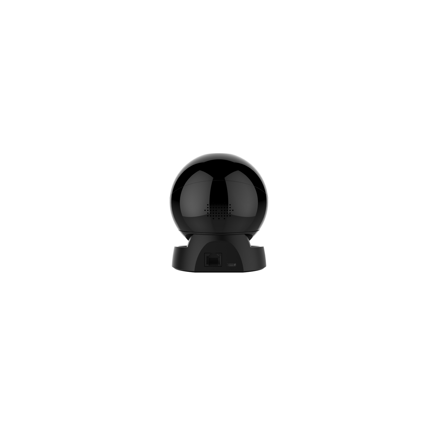 Black, spherical security camera on a black base. The camera has a lens and a few ports on the back.