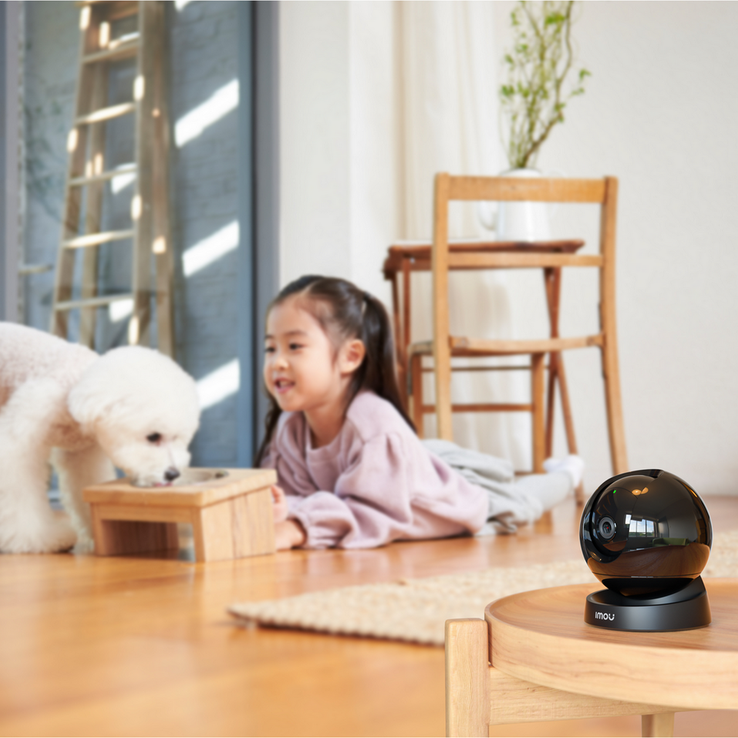 A child and dog interacting near a security camera on a table.