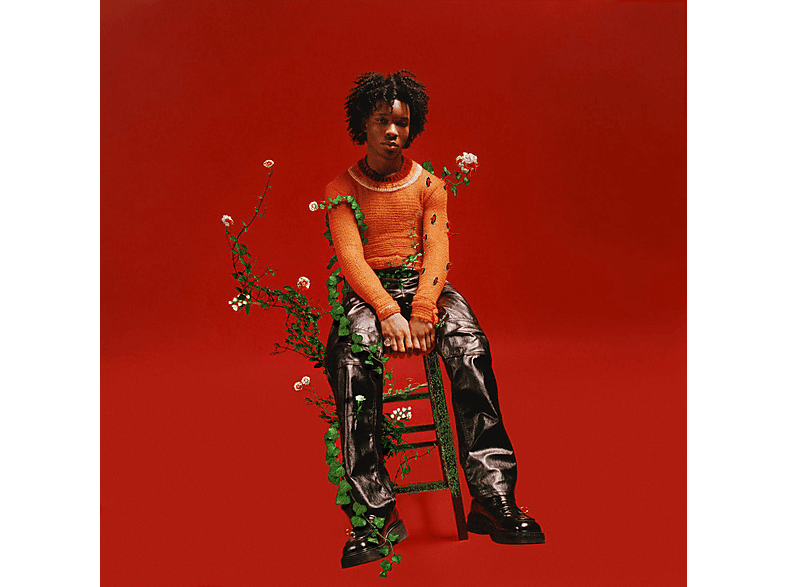 D4vd D4vd Petals to Thorns (Vinyl) (Vinyl) Pop MediaMarkt