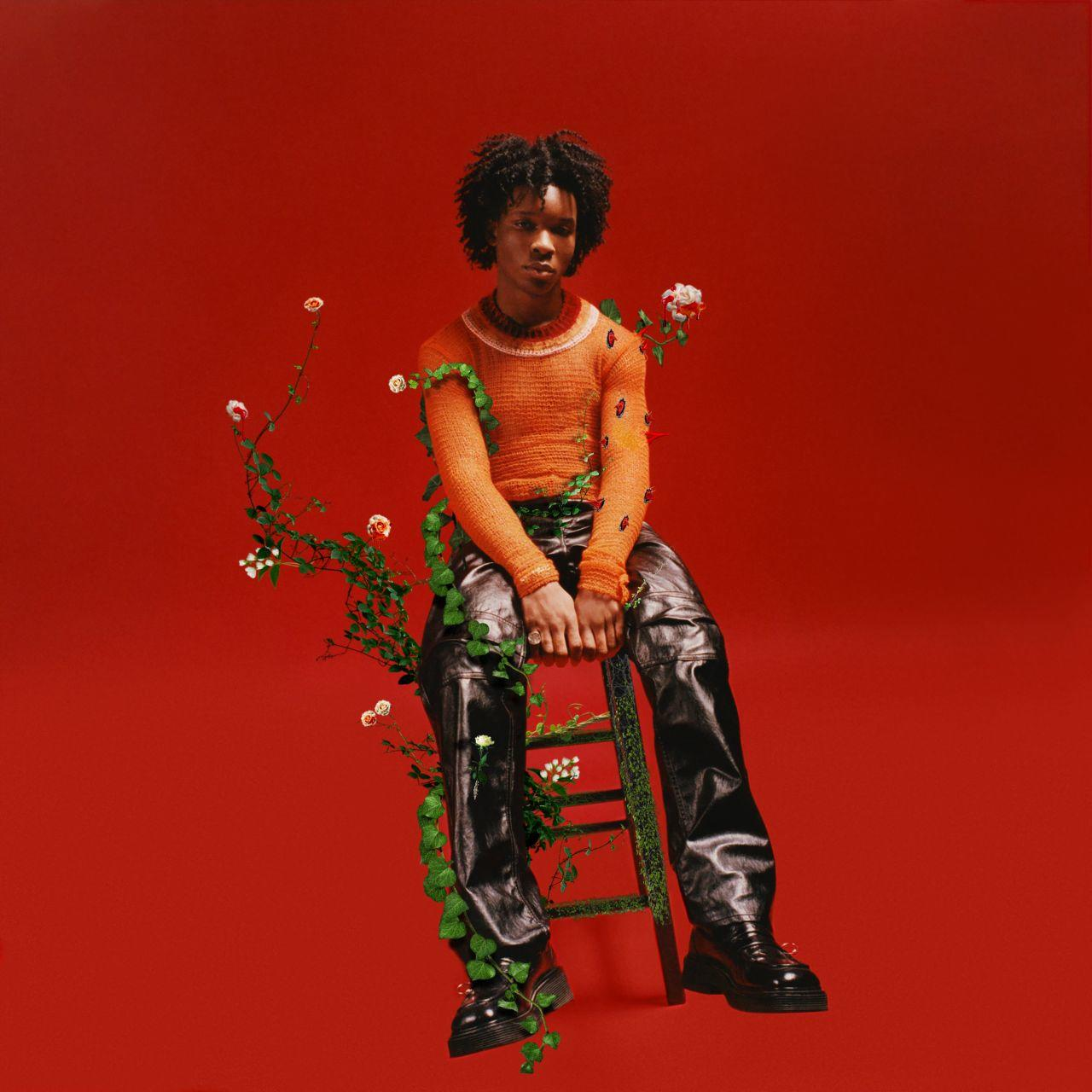 D4vd | Petals To Thorns [Vinyl] | MediaMarkt