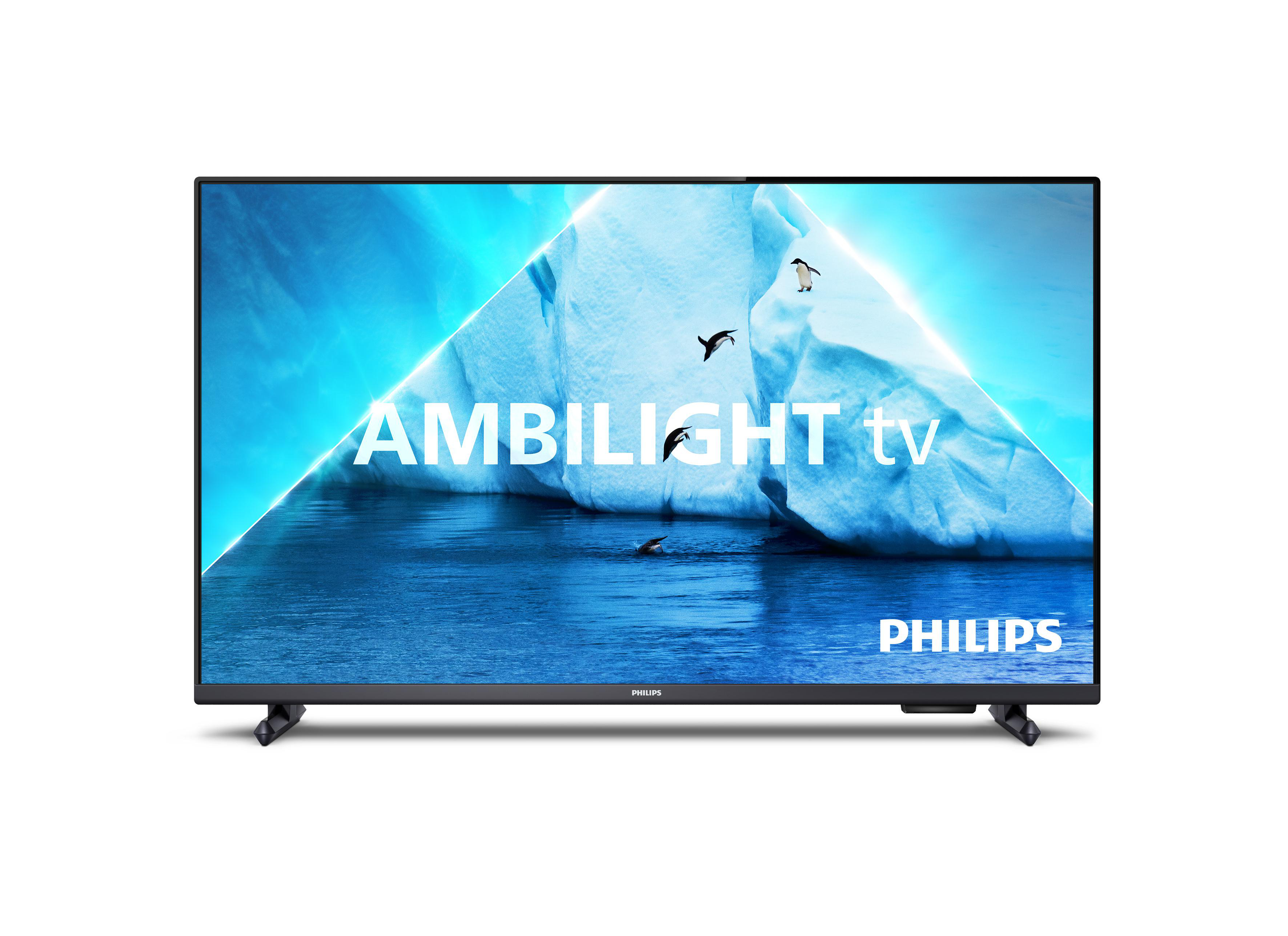 Ein Philips Ambilight TV mit blauem Eisberg-Hintergrund und fliegenden Vögeln.