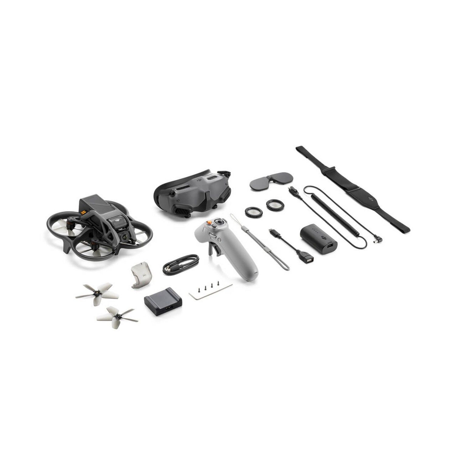 DJI Drone Avata Pro-View