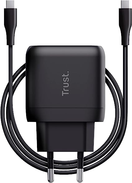 Cargador negro con cables y conector negros adjuntos sobre fondo blanco.