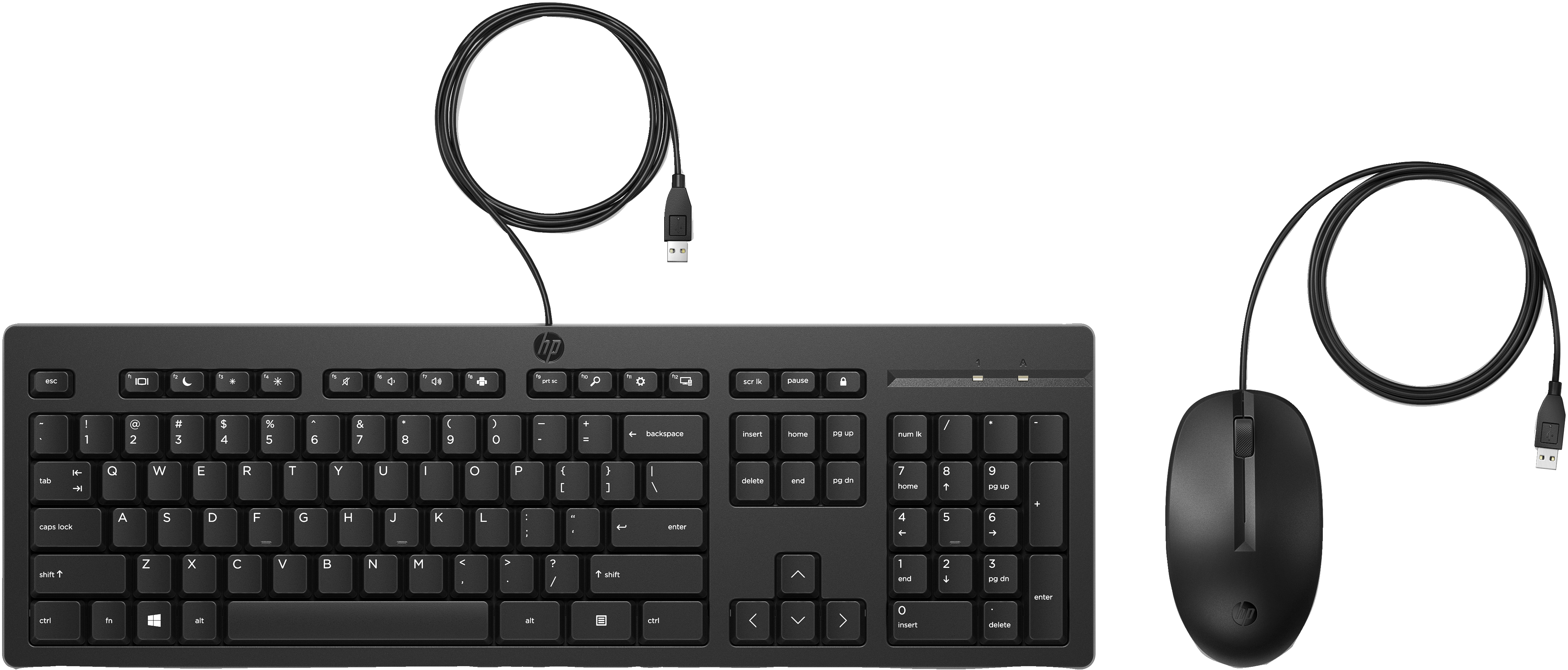 Ein schwarzes HP-Tastatur- und Maus-Set befindet sich auf weißem Hintergrund. Beide haben USB-Kabel.