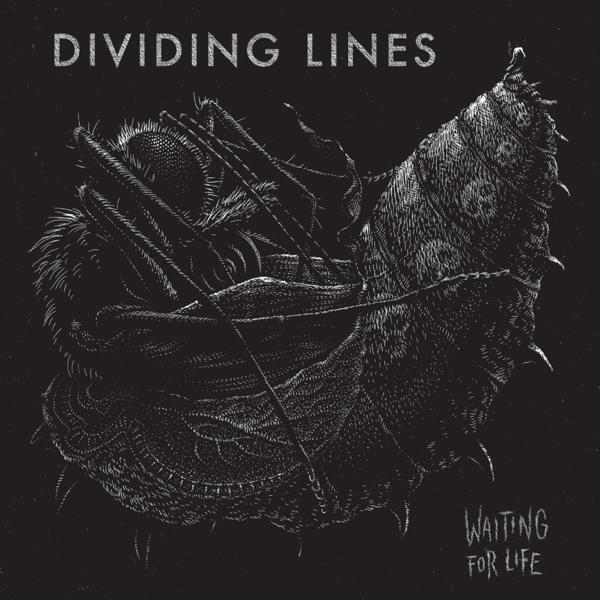 Dividing Lines - Waiting For (Vinyl) Life 