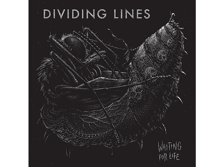 Dividing Lines - Waiting For Life  - (Vinyl)