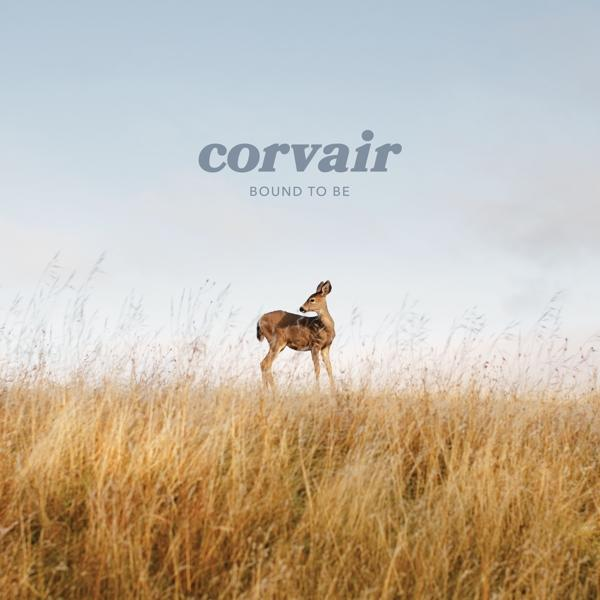 be Bound - - to (Vinyl) Corvair