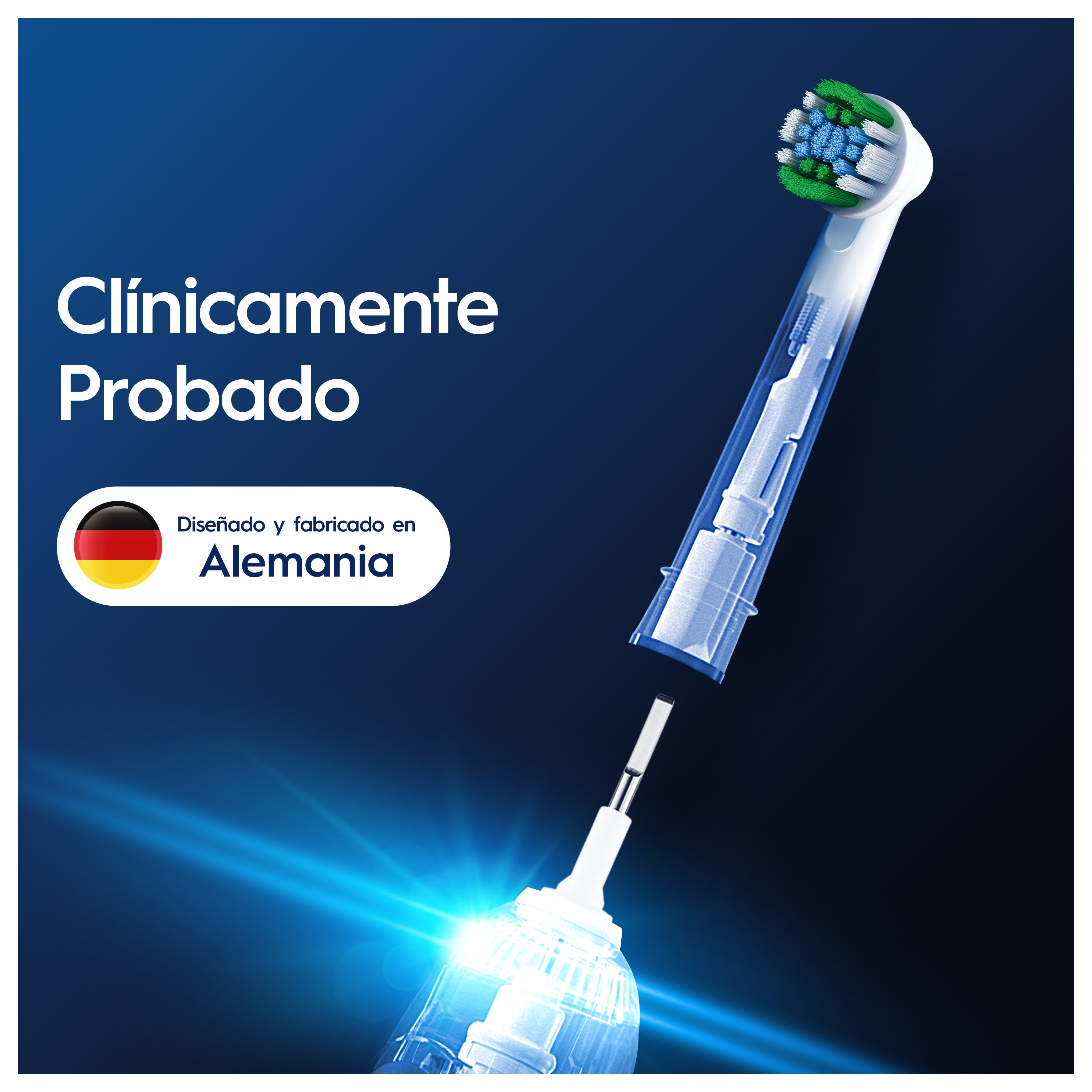 Cabezal de cepillo de dientes con cerdas azules y verdes y una vista seccionada.