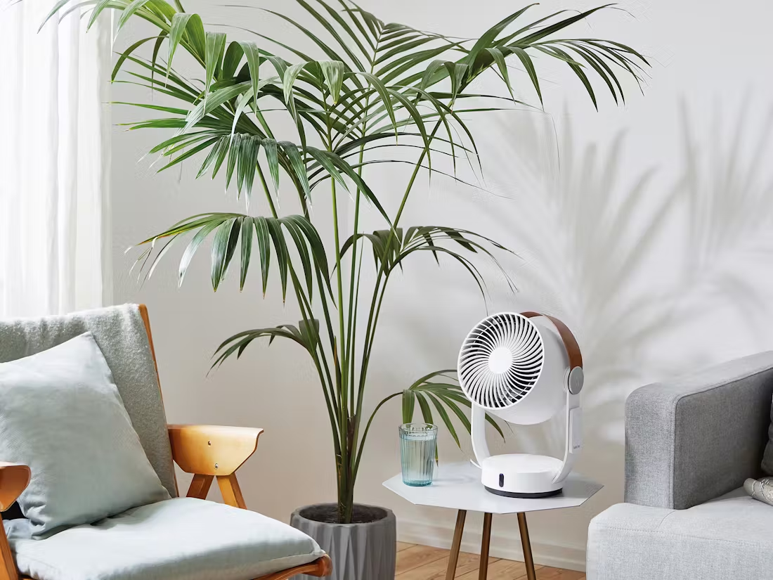 Ventilateur blanc sur une table. Palmier en arrière-plan. Canapé et chaise également dans la prise.
