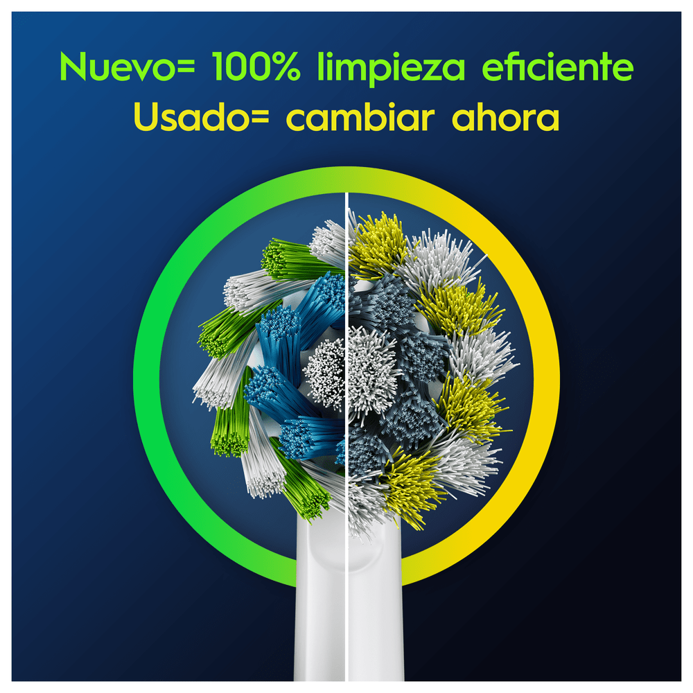 Un cabezal de cepillo de dientes dividido por la mitad, mostrando las cerdas.