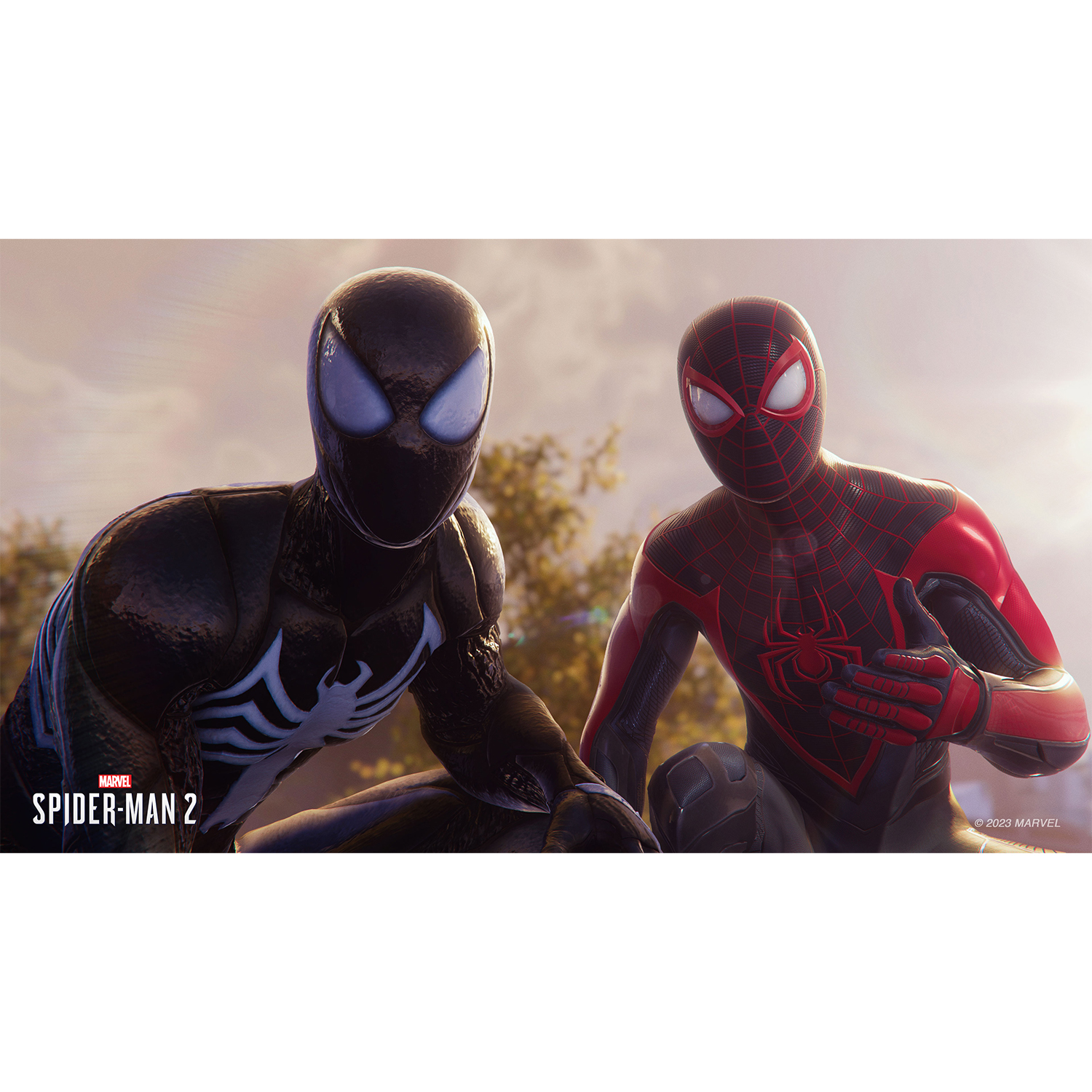 Due personaggi di Spider-Man uno accanto all'altro, uno in tuta nera, l'altro rossa.