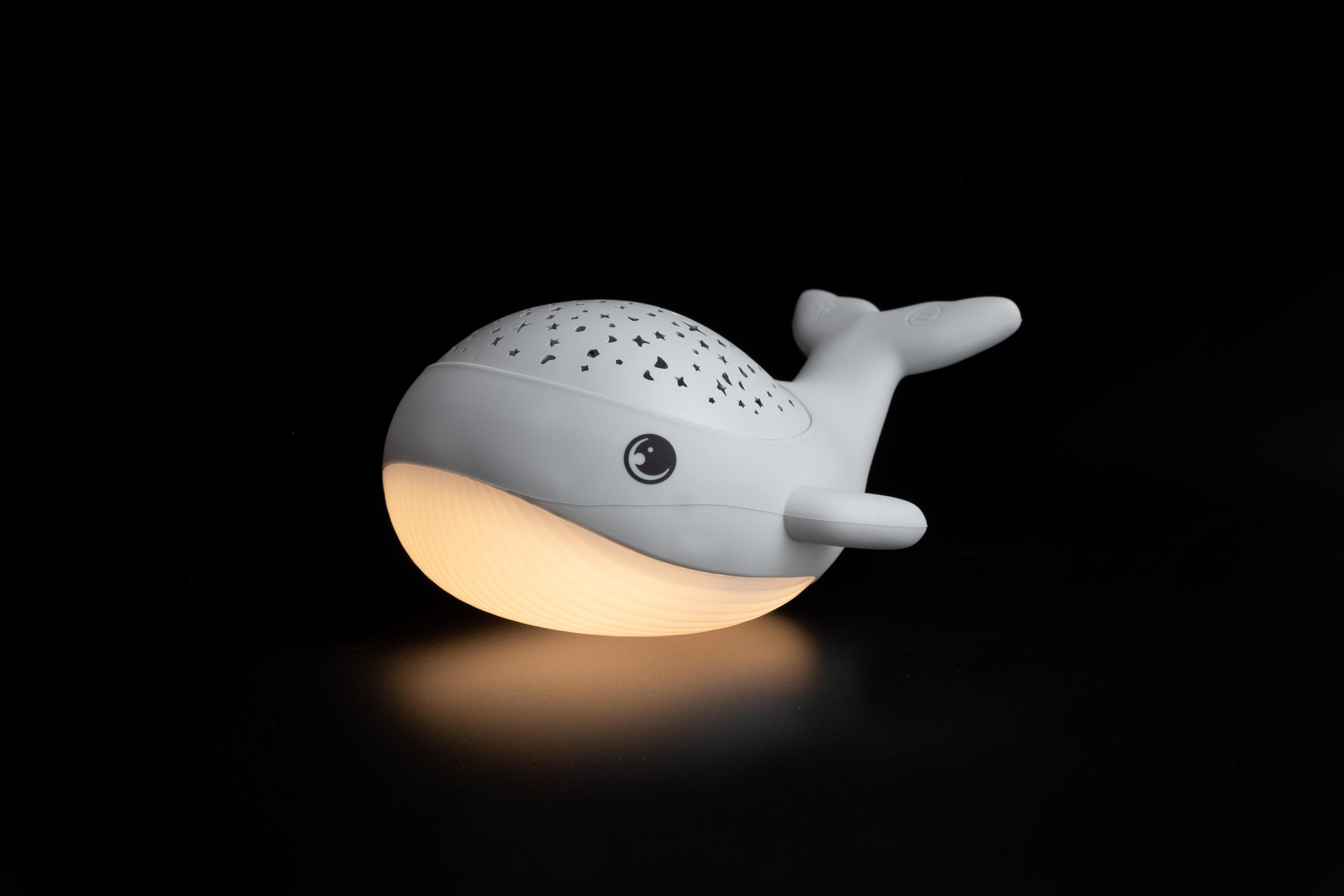Weißes Wal-Nachtlicht mit leuchtendem Bauch auf schwarzem Hintergrund.