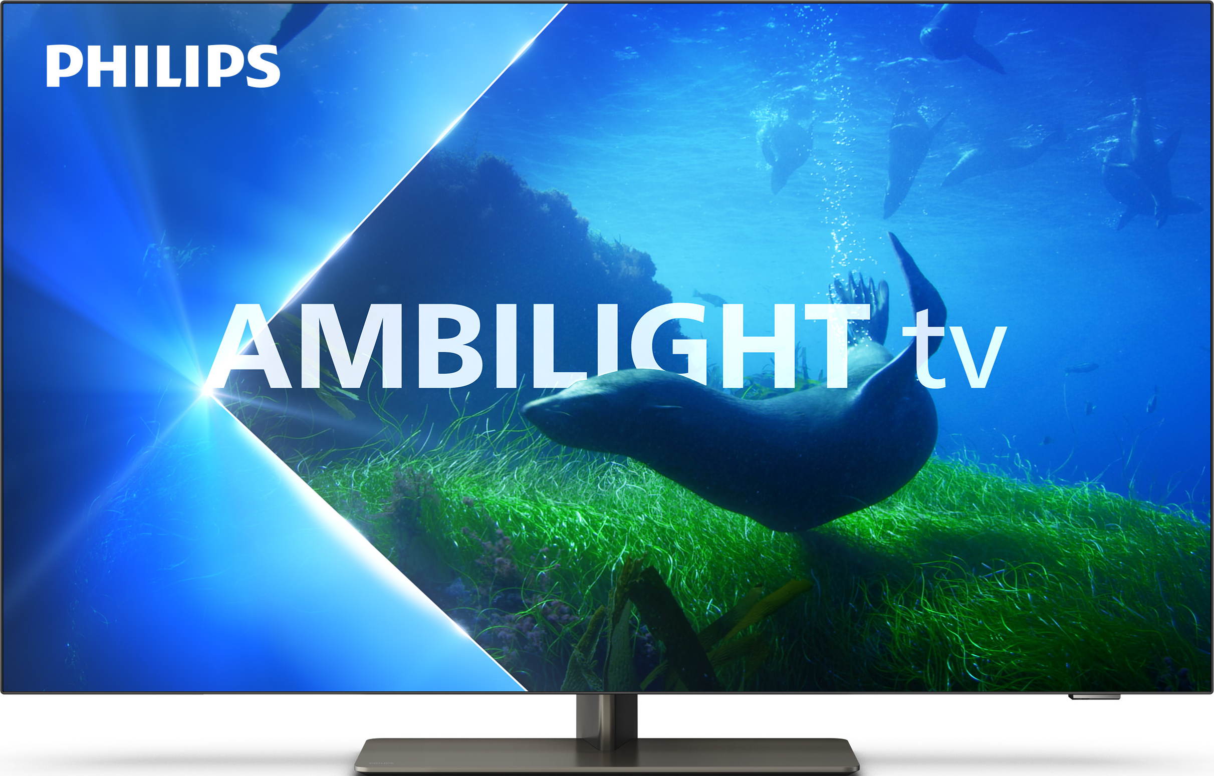 TV-Bildschirm mit Unterwasserszene: Robbe, blaues Wasser und grüne Pflanzen.