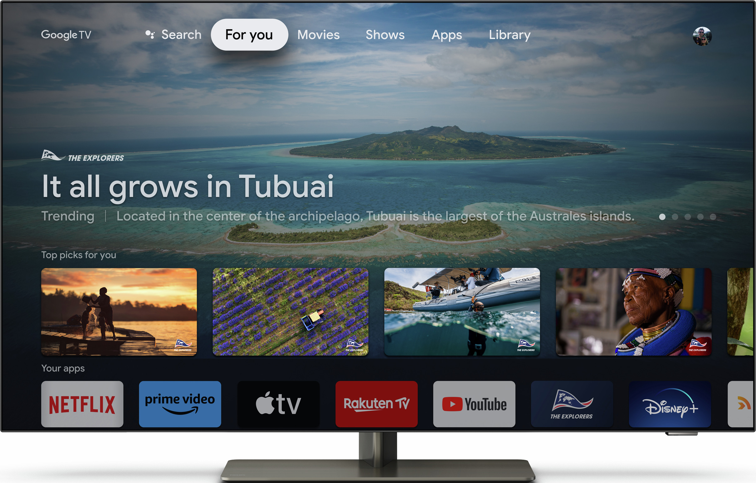 Ein Fernsehbildschirm, der eine Naturszene mit Apps wie Netflix und Disney+ zeigt.