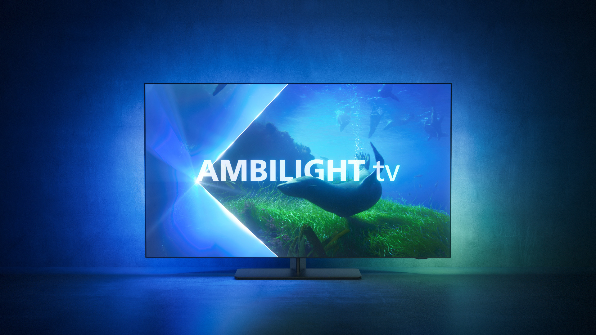 Ein Fernsehbildschirm zeigt das Wort AMBILIGHT und eine Meereslandschaft mit einem Seehund.