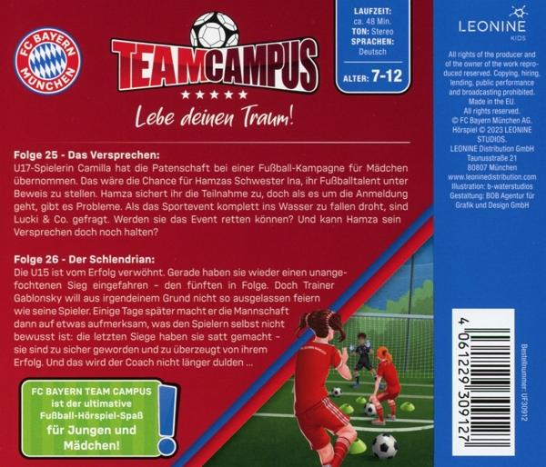 Rückseite eines deutschen Kinderbuchs über Fußball, mit Illustrationen und Text.