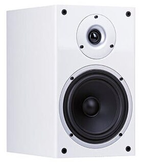 Kolumna WILSON Raptor 3 Biały