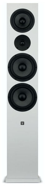 Kolumna WILSON Seven Jasny dąb