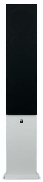 Kolumna WILSON Seven Jasny dąb