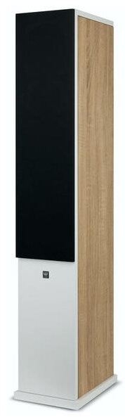 Kolumna WILSON Seven Jasny dąb