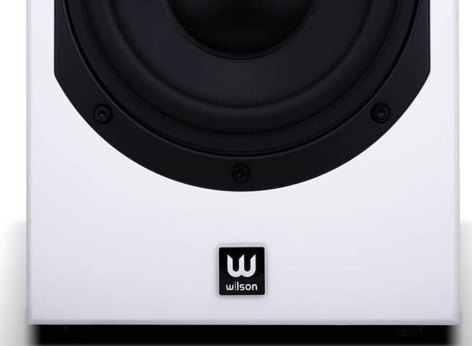 Zbliżenie białego głośnika z czarnym głośnikiem i czarnym logo Wilson.
