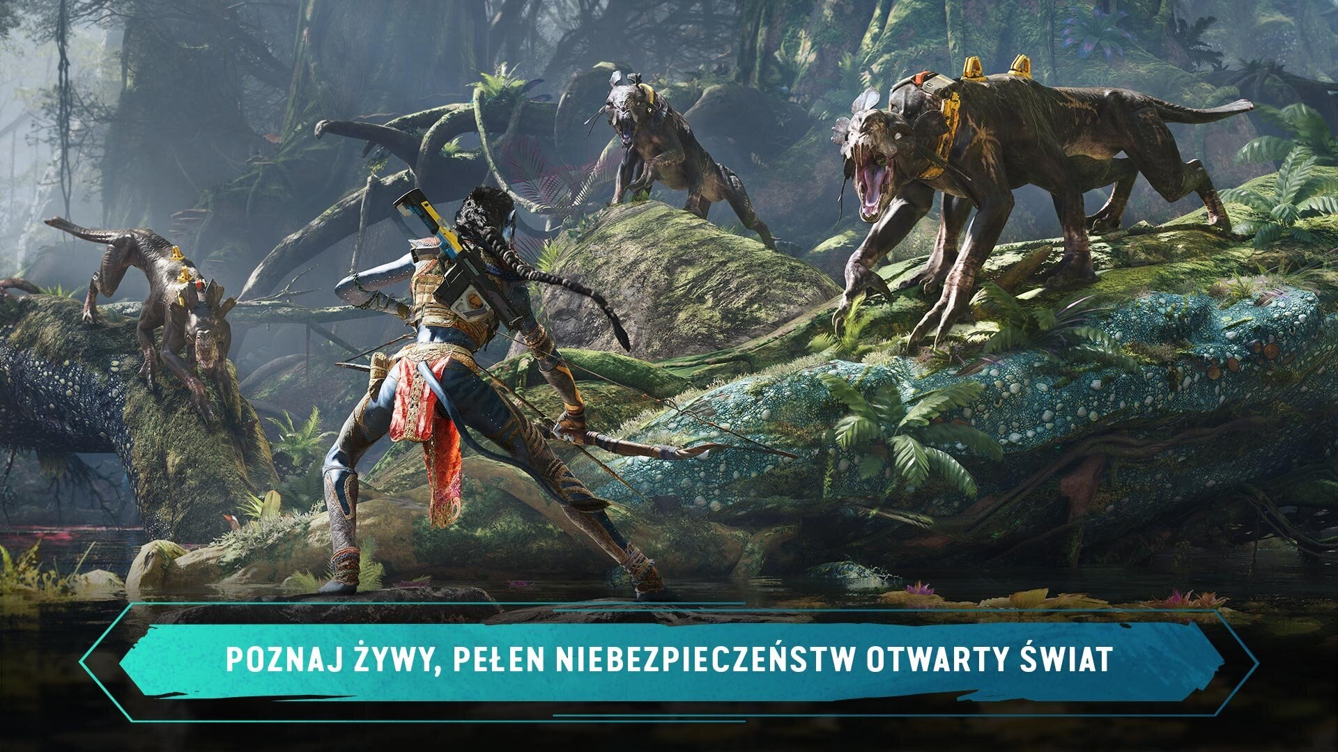 Biała zamrażarka z otwartymi drzwiami, odsłaniająca trzy półki z jedzeniem w środku.