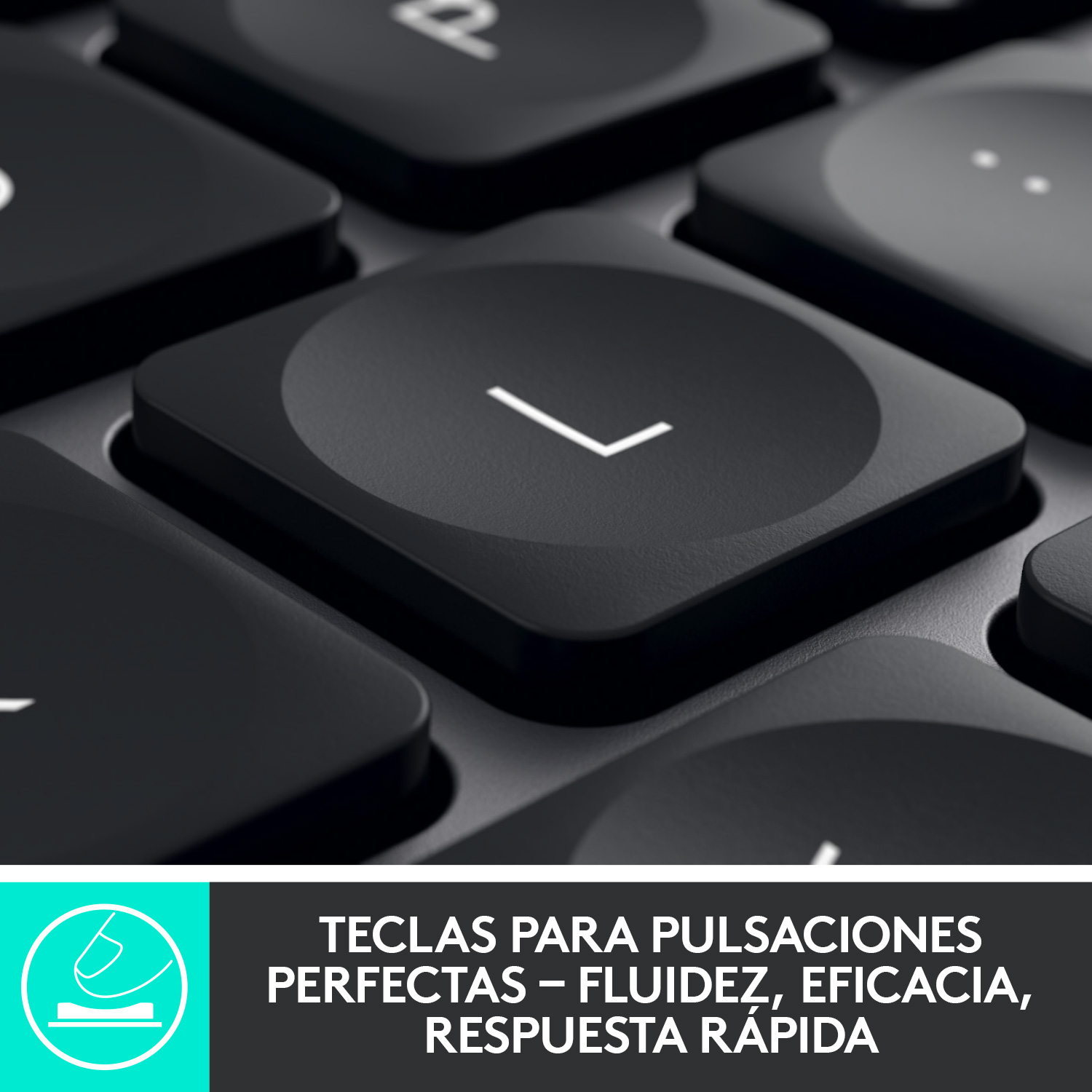 Primer plano de las teclas negras del teclado, la letra L es visible.