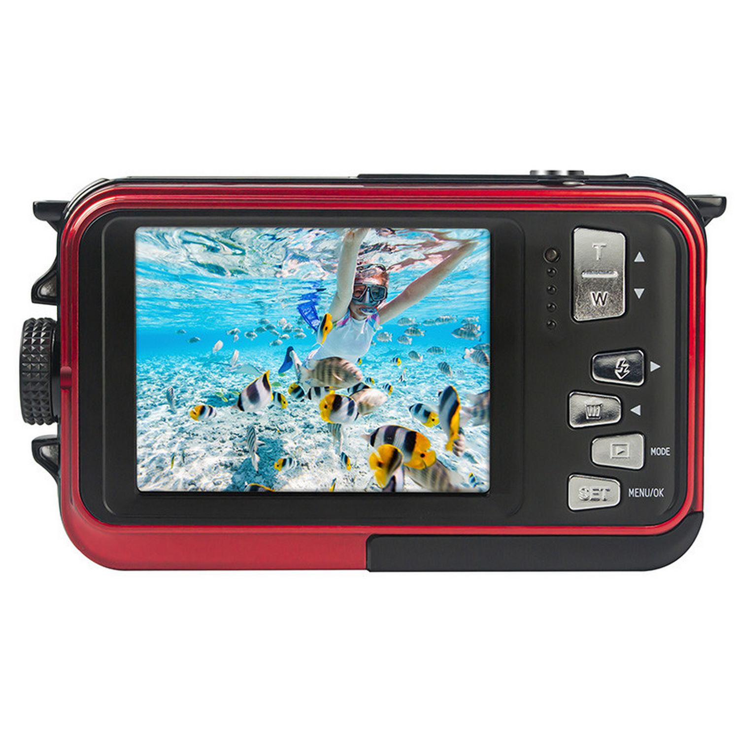Persoon aan het snorkelen in de oceaan, omringd door kleurrijke vissen, gezien door een rode camera.