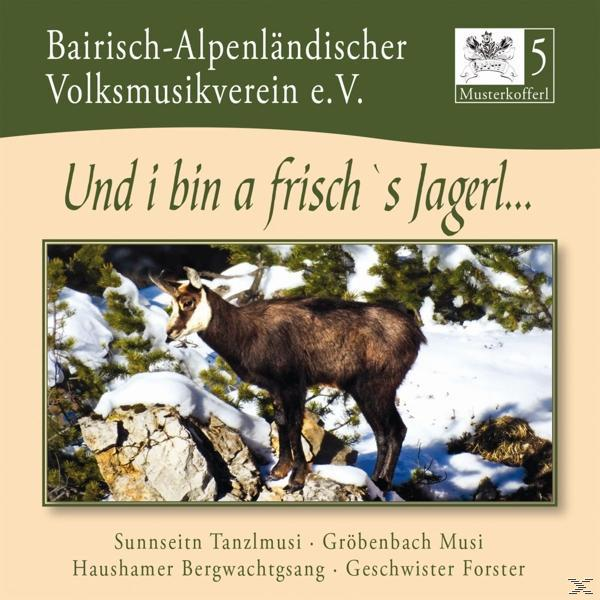 Bairisch-Alpenländ.Volksmusikverein e.V - i a Musterkofferl bin frisch`s J 5-Und - (CD)