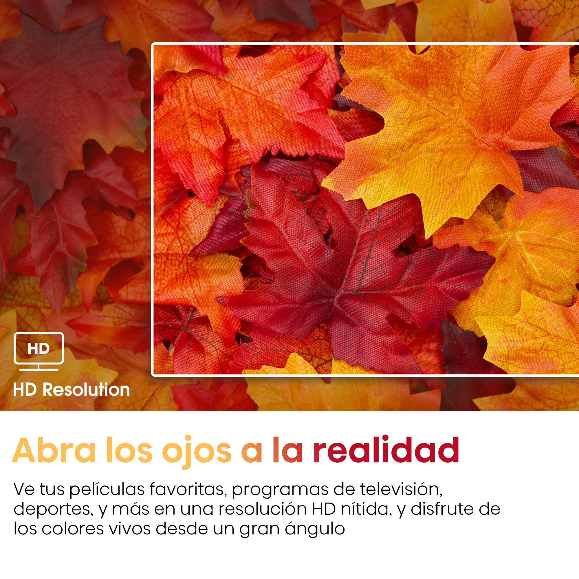 Primer plano de hojas de otoño en varios tonos de rojo y amarillo.