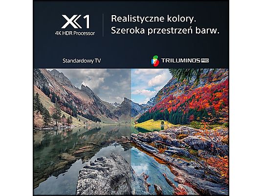Telewizor OLED SONY XR-55A80LAEP