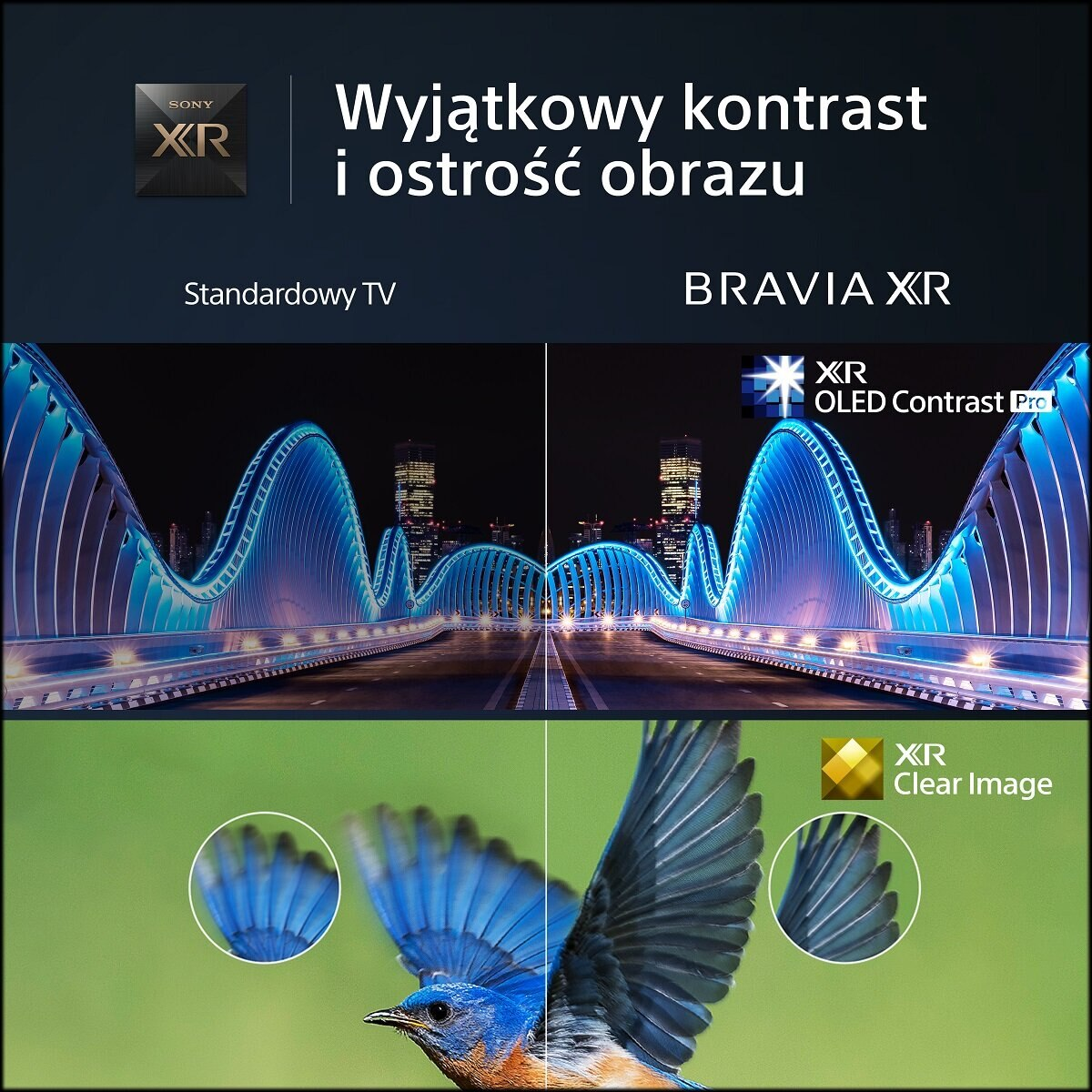 Podzielony ekran telewizora. Góra: Most. Dół: Ptak. Tekst: Wyjątkowy kontrast i ostrość obrazu.