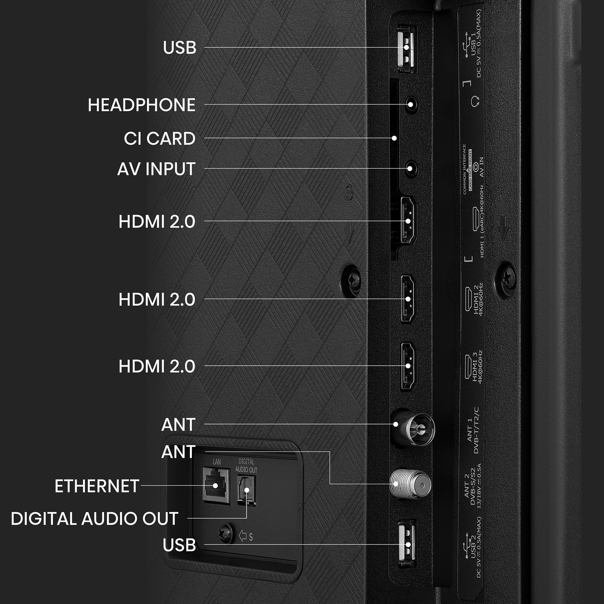 Parte trasera de un televisor. Puertos etiquetados: USB, HDMI, Ethernet, Digital Audio Out, ANT, auriculares.