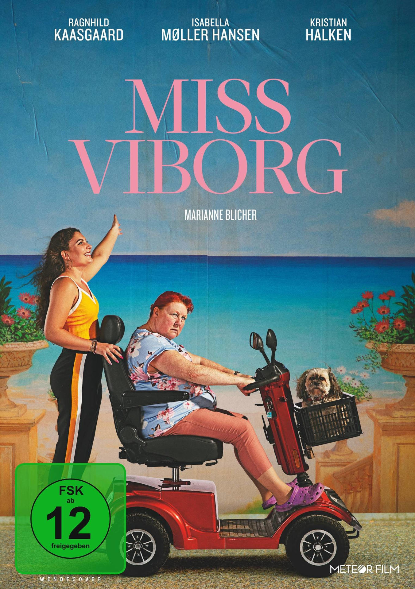 DVD Miss Viborg