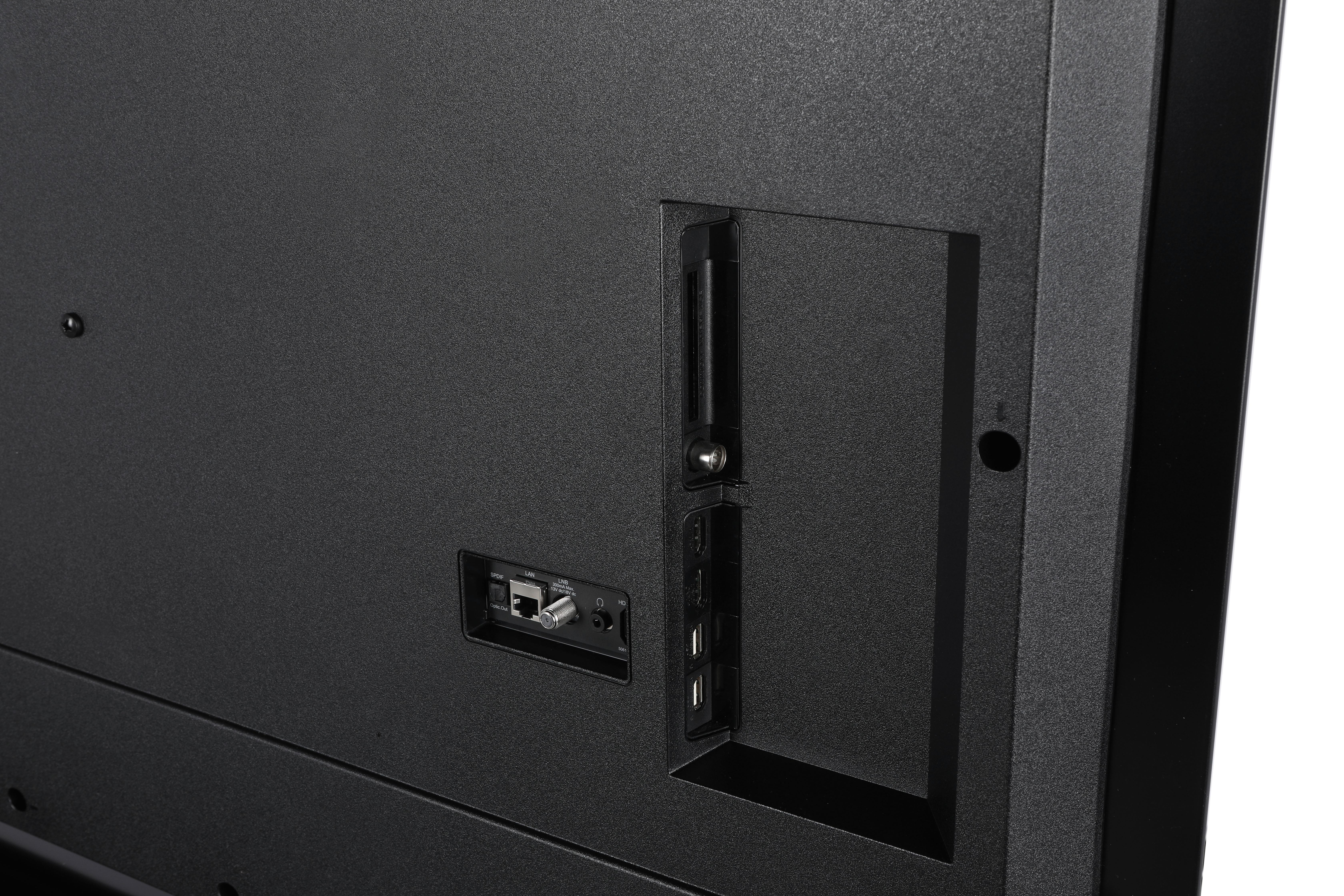 Rückseite eines Fernsehers. Enthält Anschlüsse für LAN, HDMI und andere.
