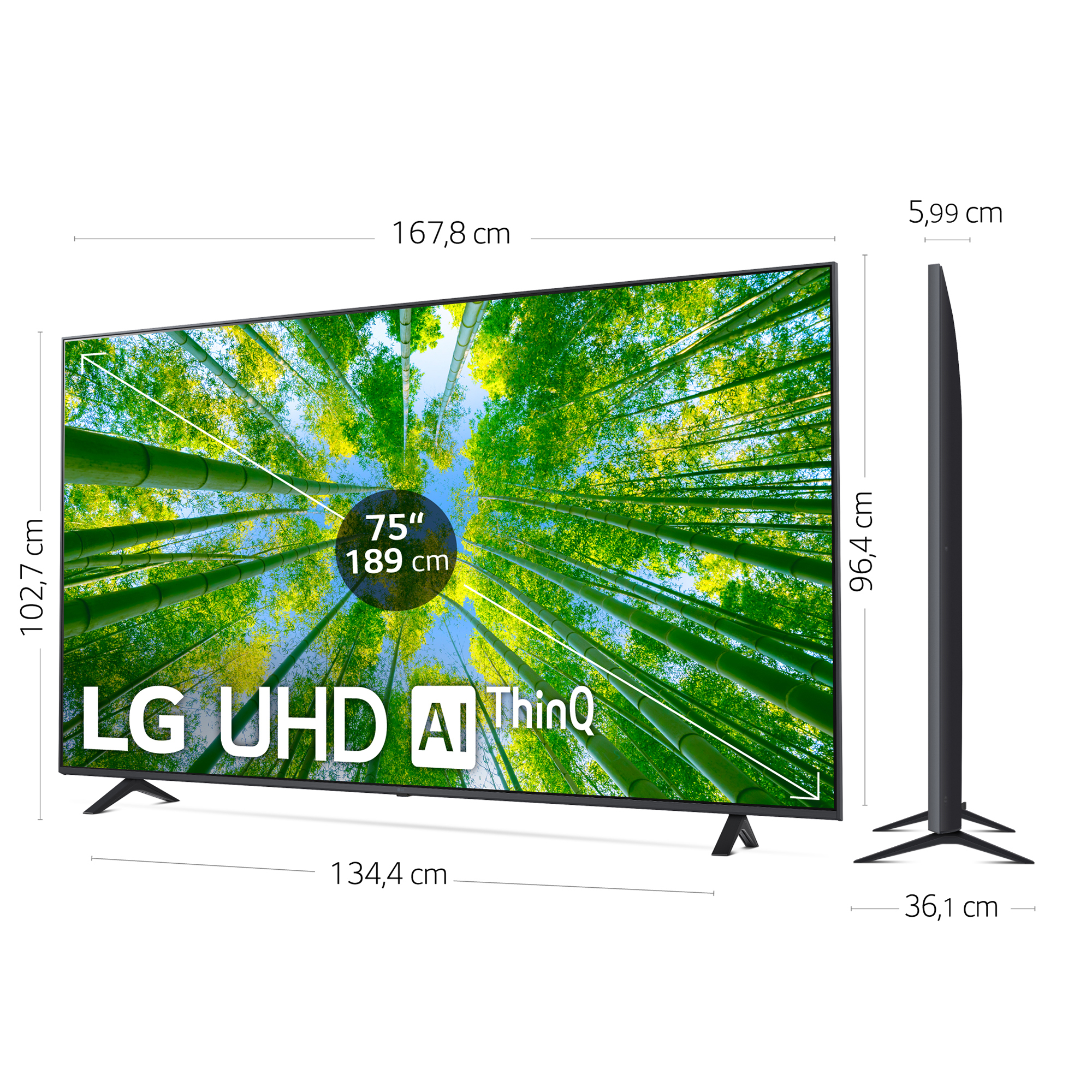 Un televisor grande con dimensiones y una escena de un bosque de bambú verde en la pantalla.