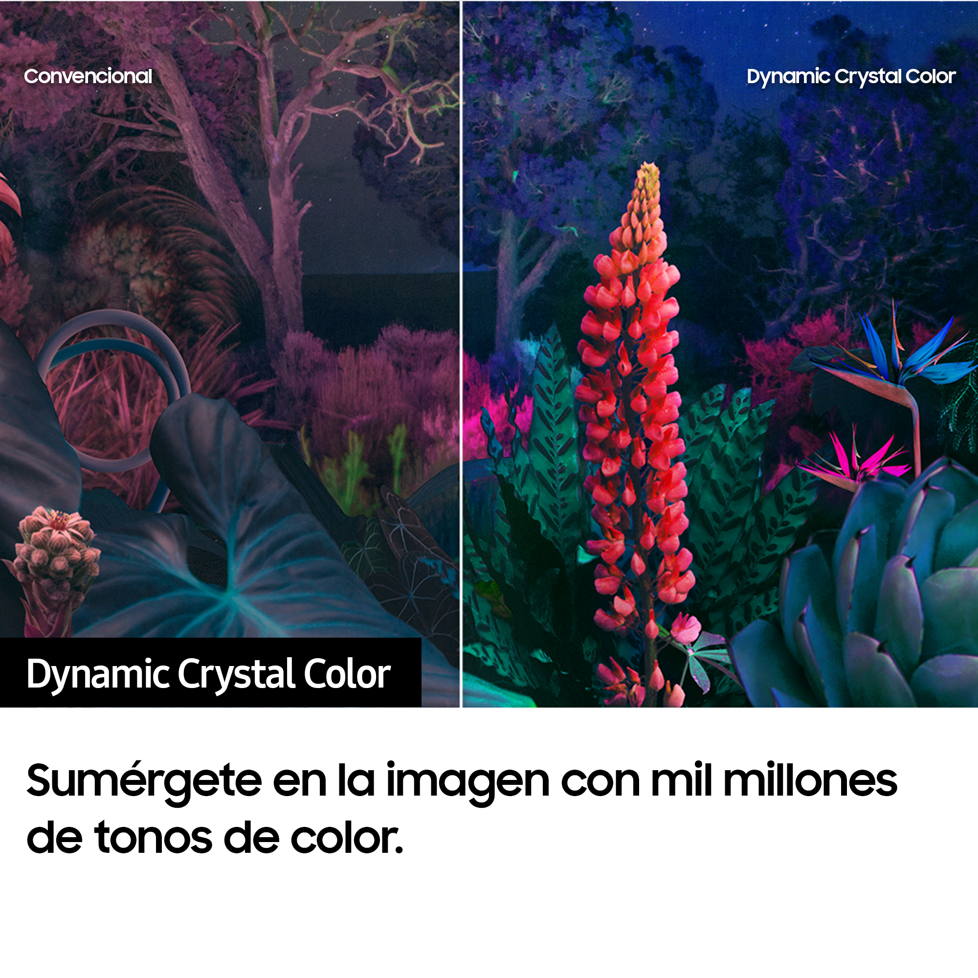 TV LED 55" - Samsung TU55CU8500KXXC, UHD 4K, Crystal Processor 4K, Smart TV, DVB-T2 (H.265), Calibración TV incluida, Titan Gray